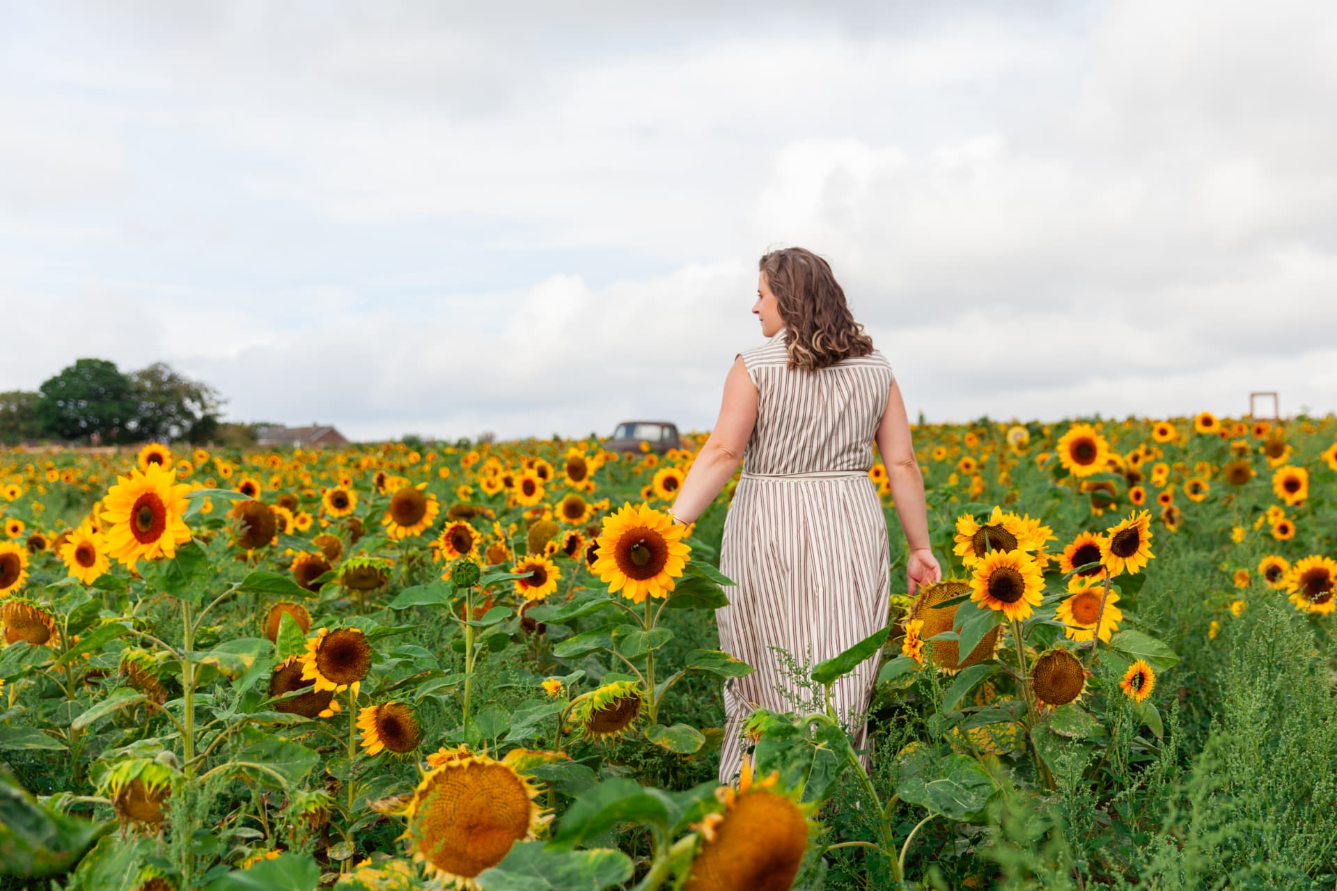 Kate Keir walking through a sunflower field and looking to the side
